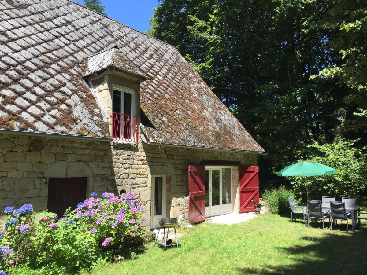 Gites Chateau Le Bois Saint-Julien-aux-Bois Exterior foto