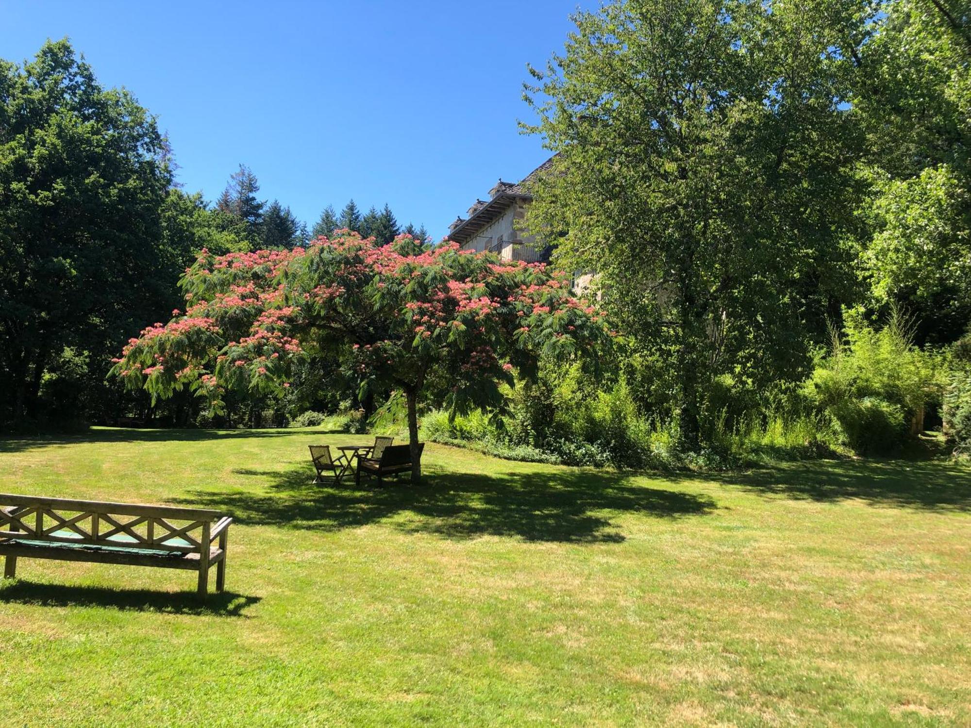 Gites Chateau Le Bois Saint-Julien-aux-Bois Exterior foto