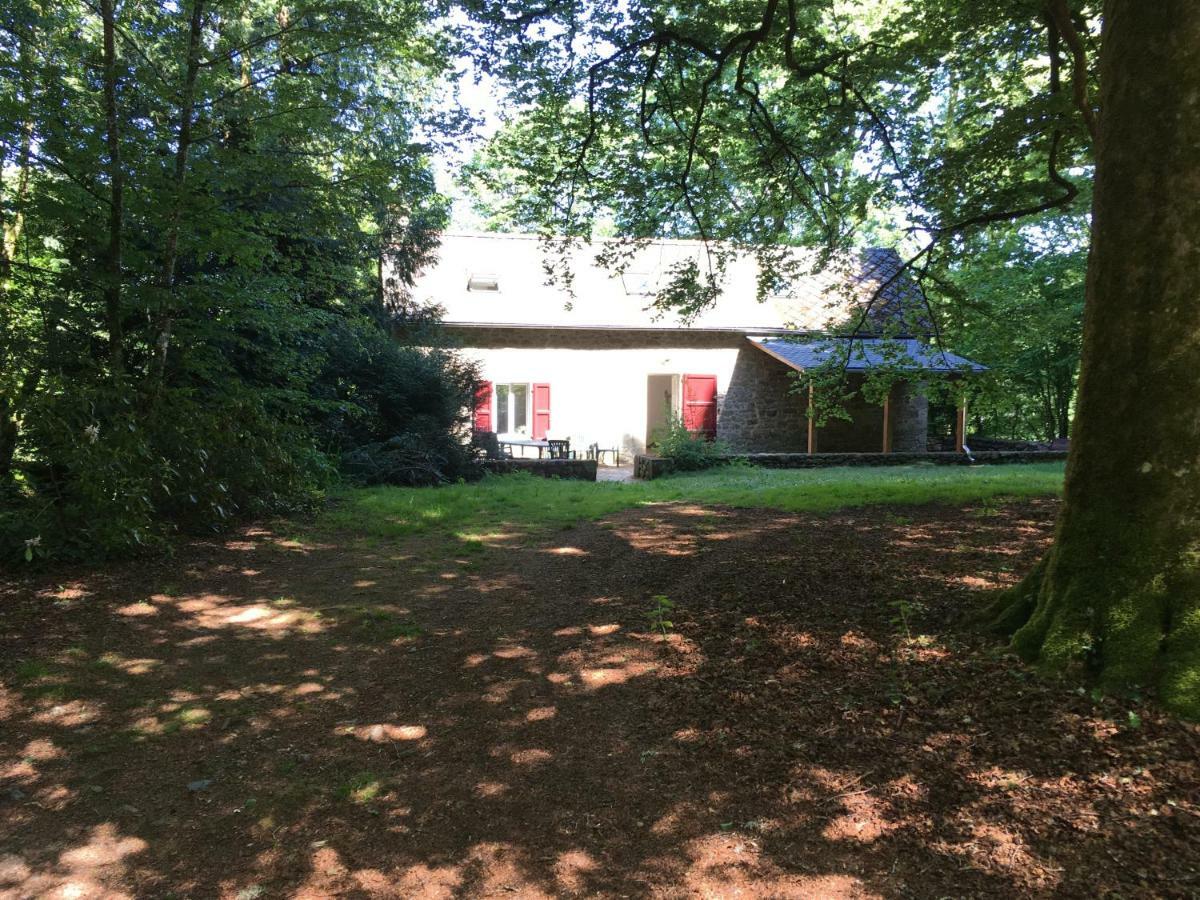 Gites Chateau Le Bois Saint-Julien-aux-Bois Exterior foto