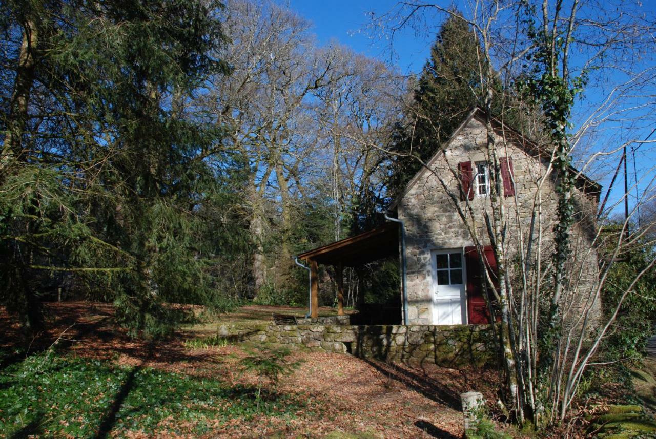 Gites Chateau Le Bois Saint-Julien-aux-Bois Exterior foto